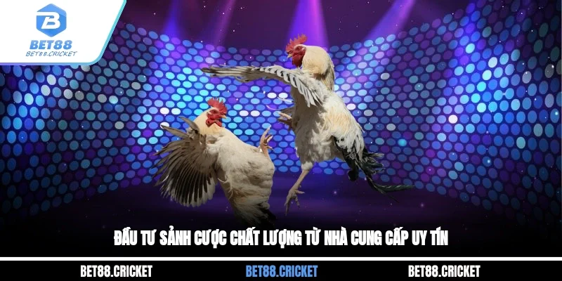 Đầu tư sảnh cược chất lượng từ nhà cung cấp uy tín